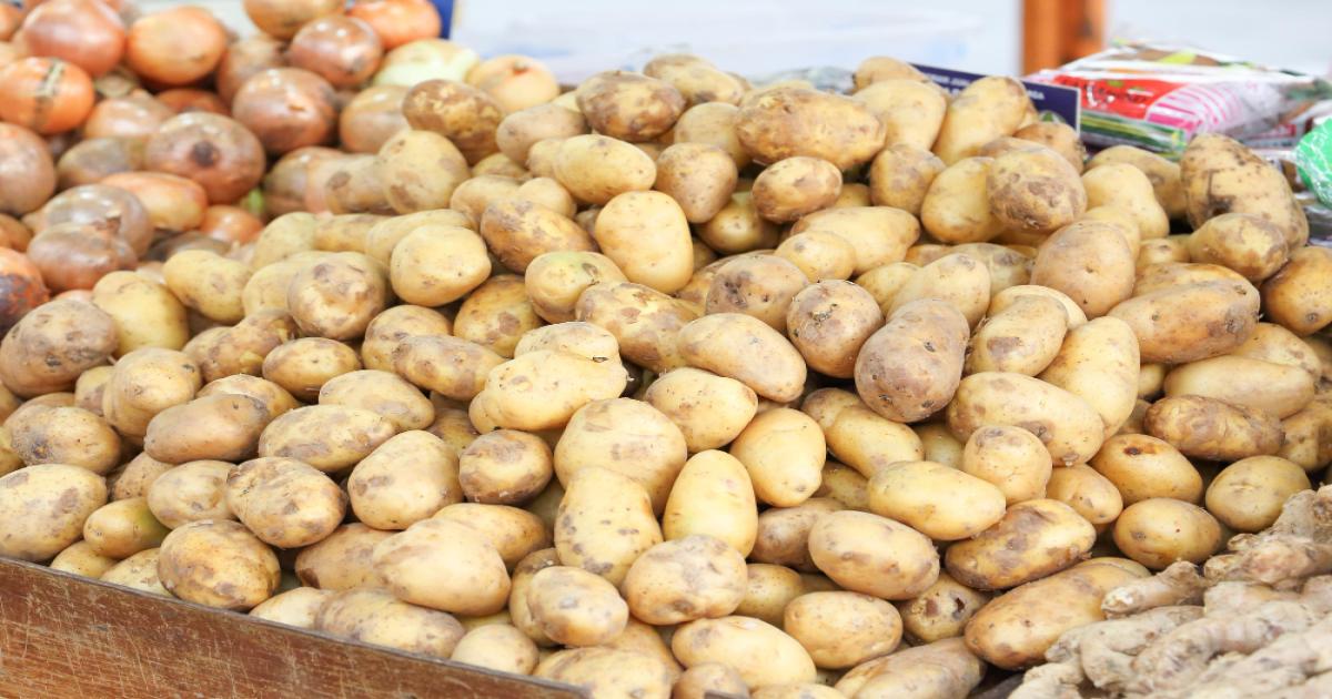 उज्जैन में आलू का मंडी भाव आज (25 अक्टूबर 2024)