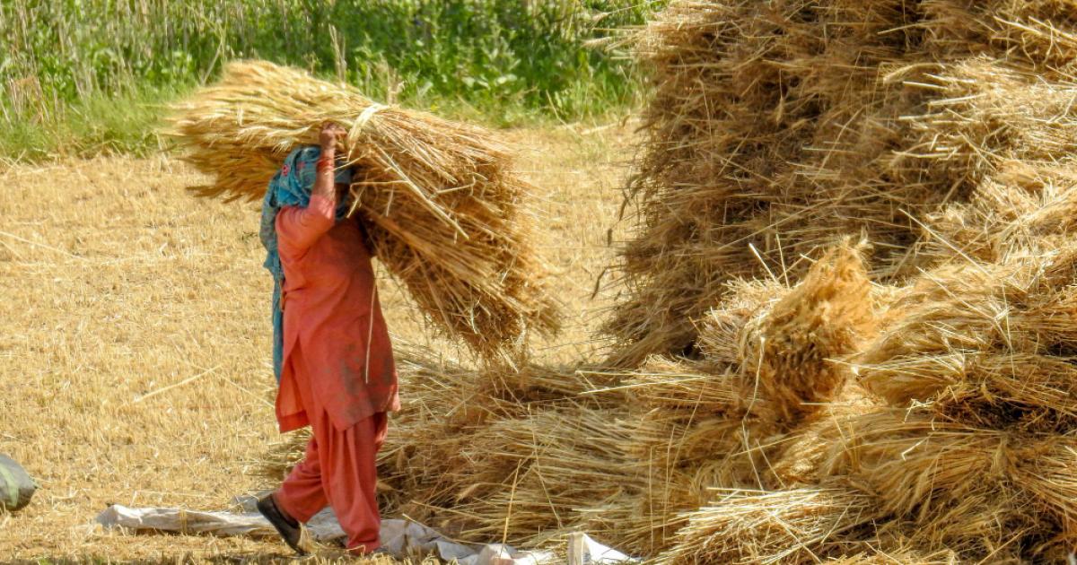 Agriculture Minister's meeting on management of crop residue burning