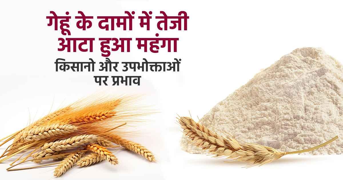 Wheat Price: गेहूं के दामों में तेजी, आटा हुआ महंगा, किसानो और उपभोक्ताओं पर प्रभाव