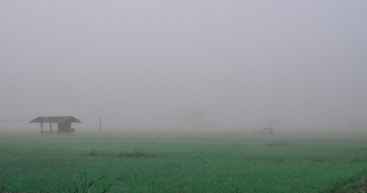 Dense fog