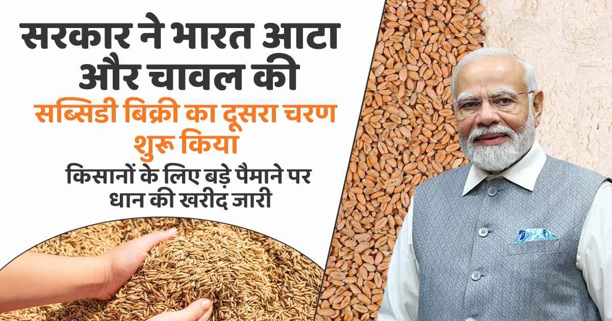 paddy and wheat-rice