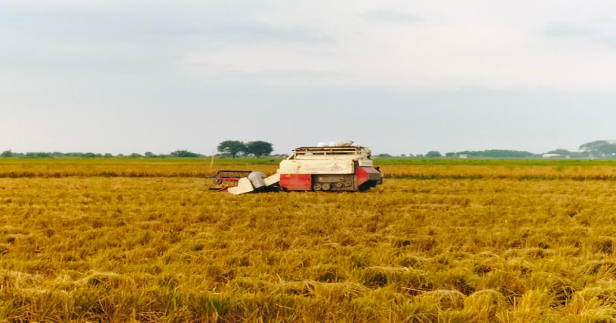 Track-Type Paddy Harvesters