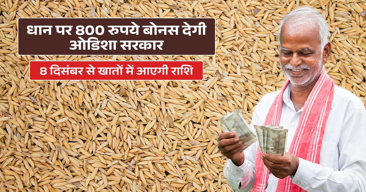 Odisha government gives Rs 800 bonus to paddy farmers