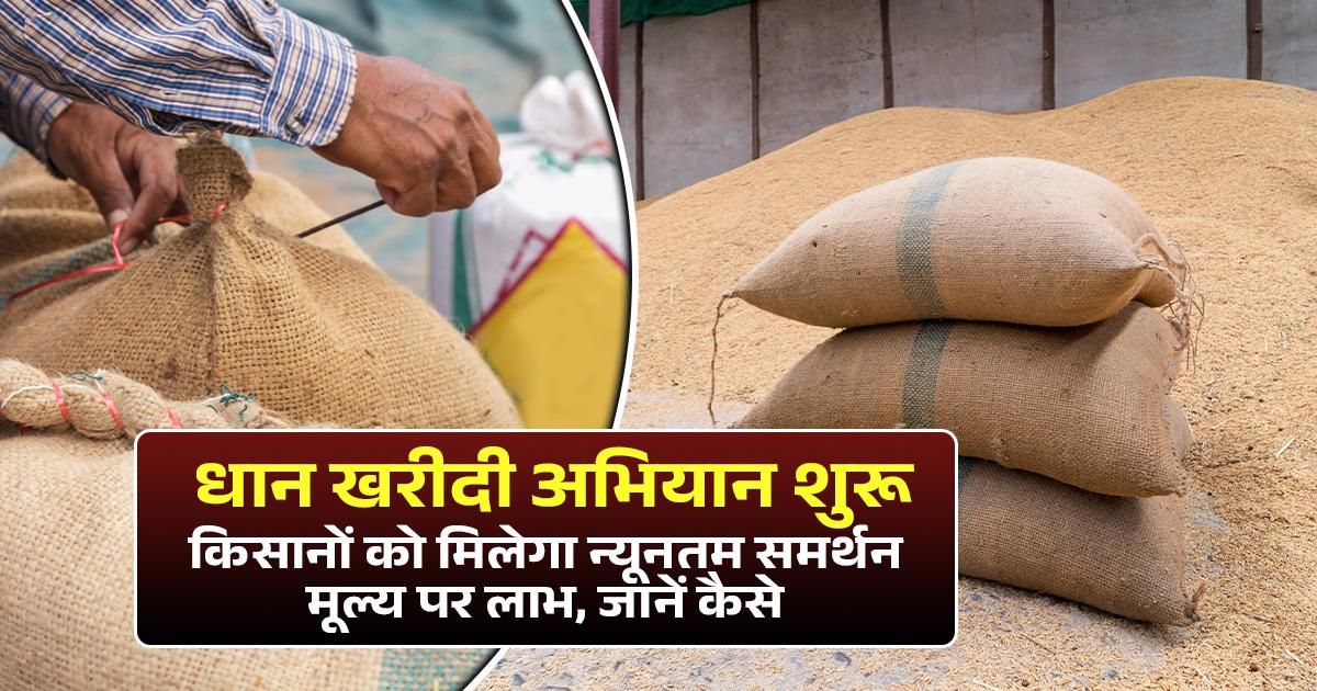 Paddy procurement campaign begins