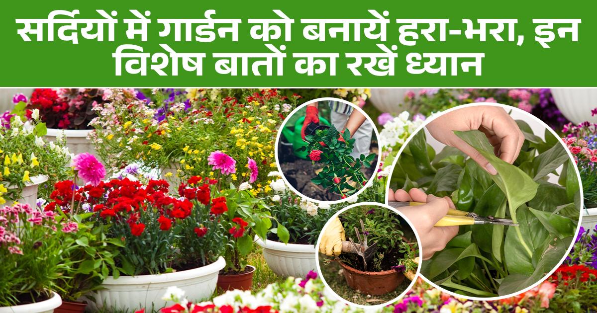 Winter Gardening Tips