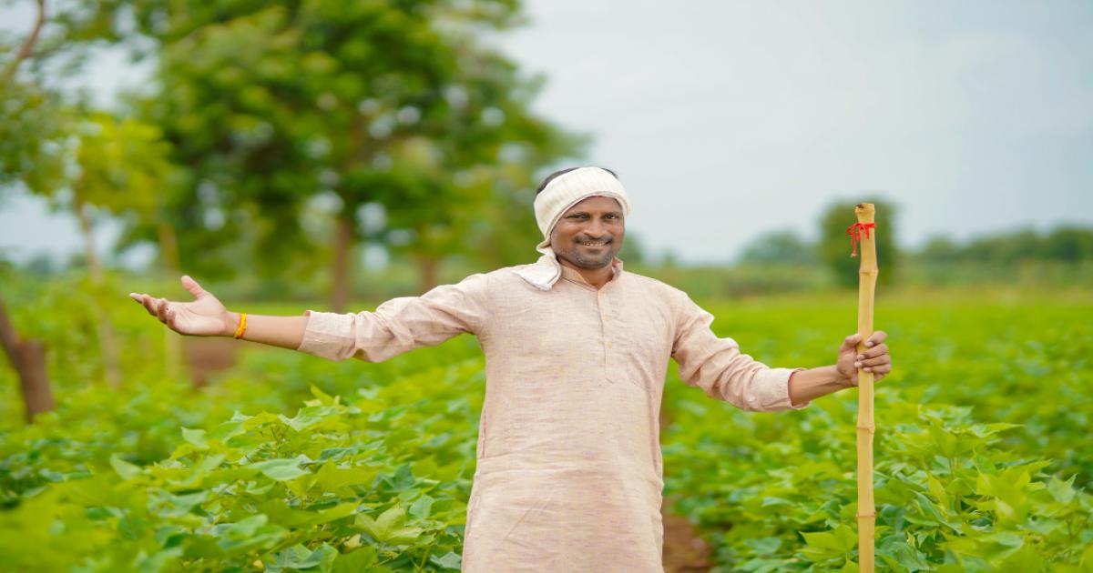 agricultural schemes