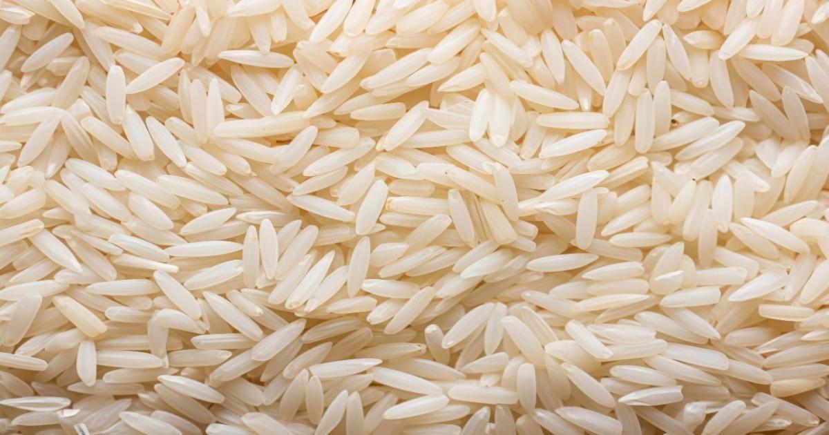 Rice