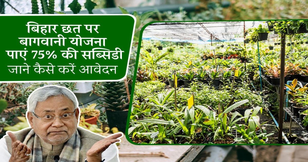 छत पर बागवानी