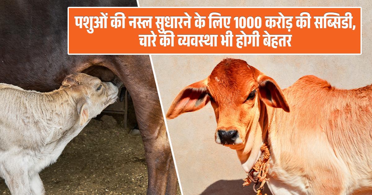 During the Entrepreneurship Development Conference 2025