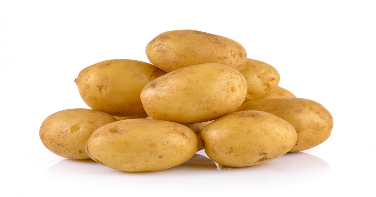 Potato