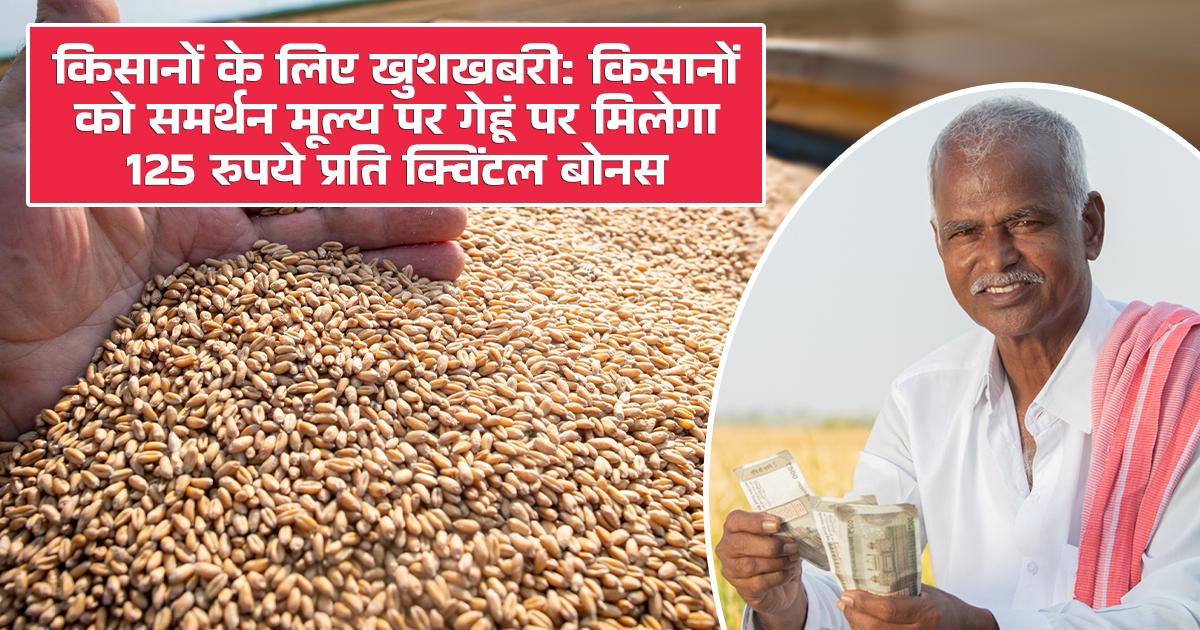 गेहूं पर 125 रुपये प्रति क्विंटल बोनस
