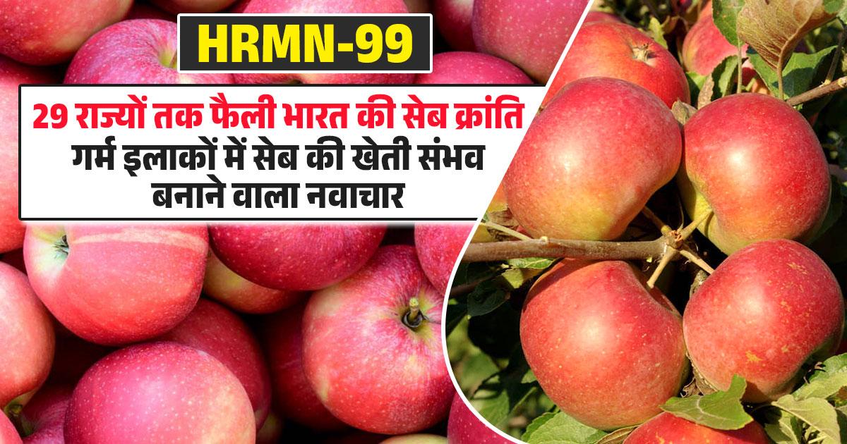 HRMN-99: भारत का स्वदेशी सेब