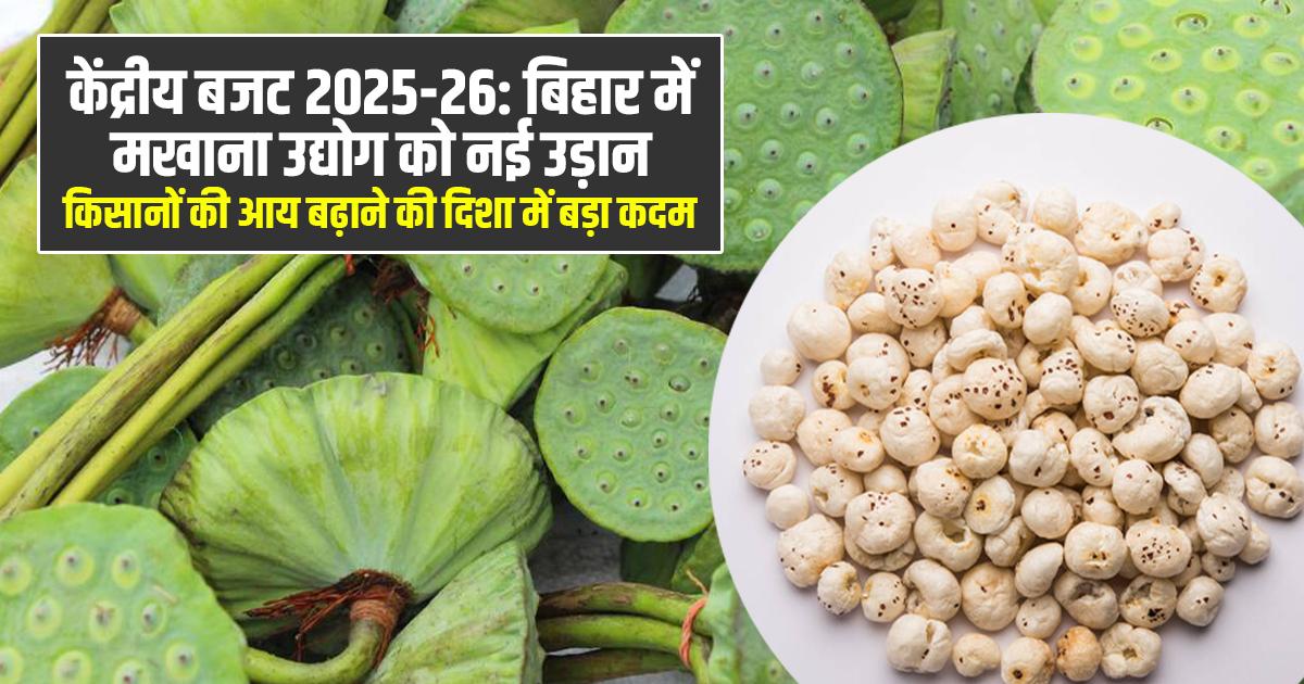 बिहार में मखाना उद्योग को नई उड़ान!