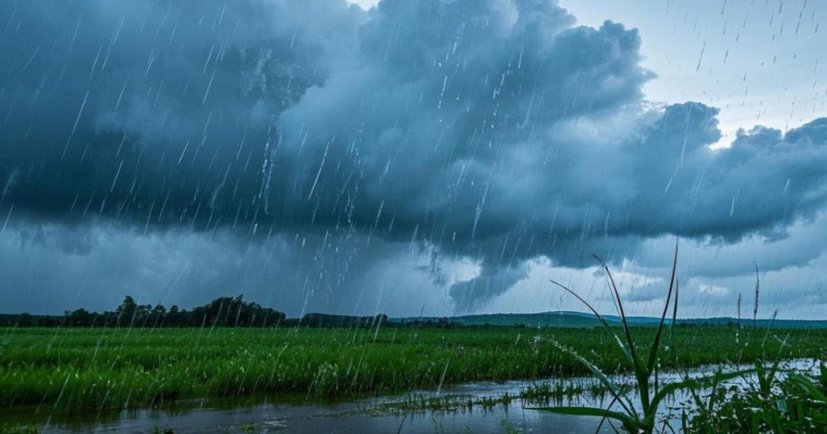 पंजाब-हरियाणा समेत इन राज्यों में बारिश