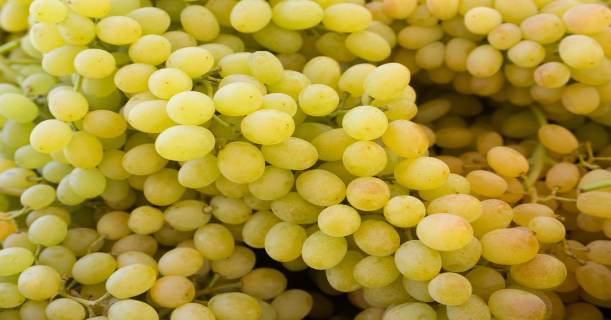 Grape Prices Today in Haryana