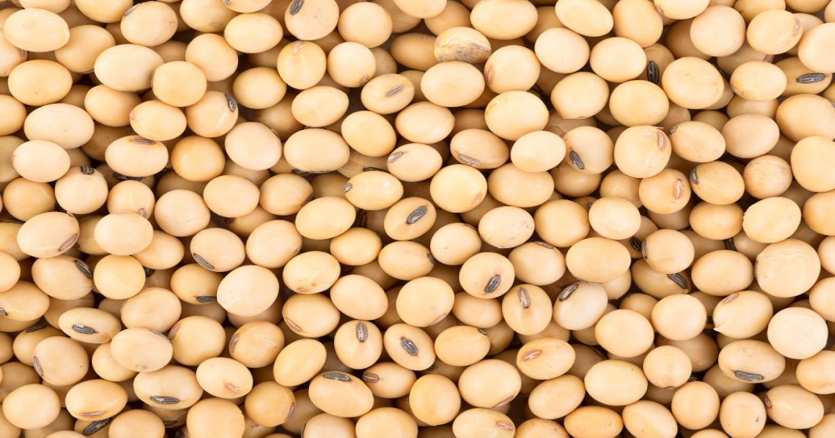 गुजरात में सोयाबीन का मंडी भाव