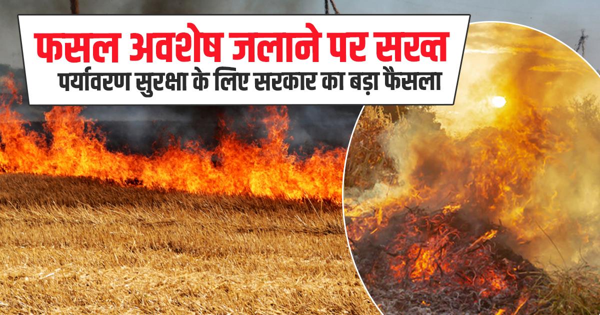 फसल अवशेष जलाने पर सख्त पाबंदी
