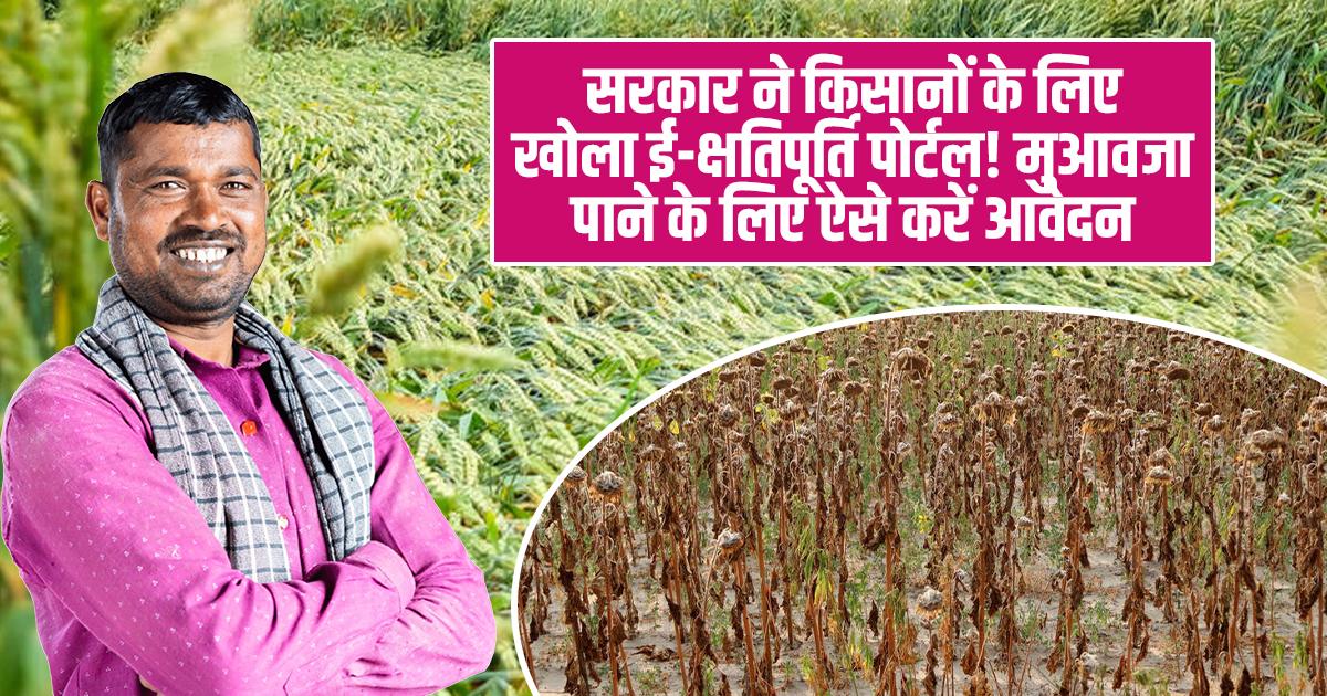 ई-क्षतिपूर्ति पोर्टल