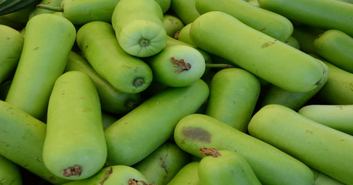 Bottle Gourd Prices in Delhi Mandi