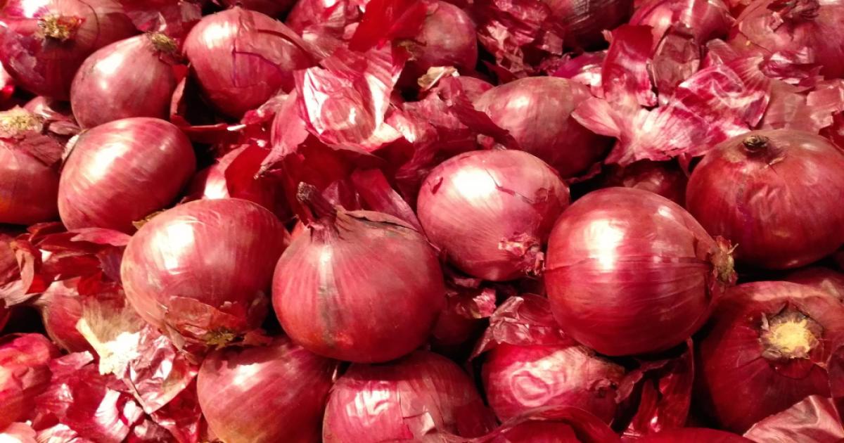 Onion Prices Today in Rajasthan