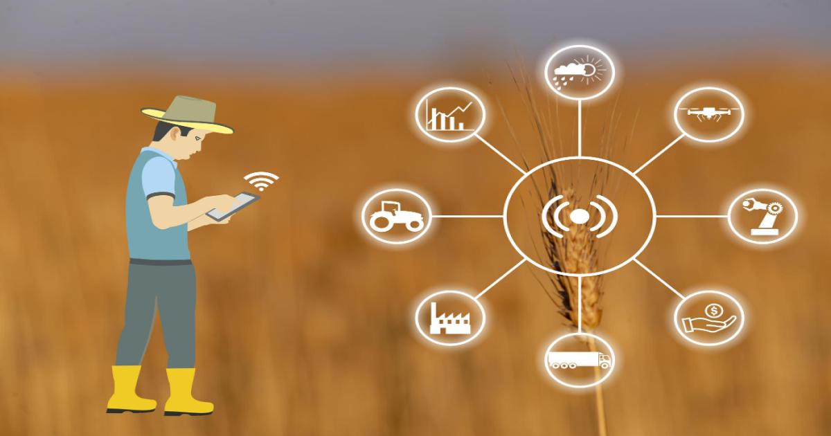 Now there will be no rigging in wheat and paddy procurement