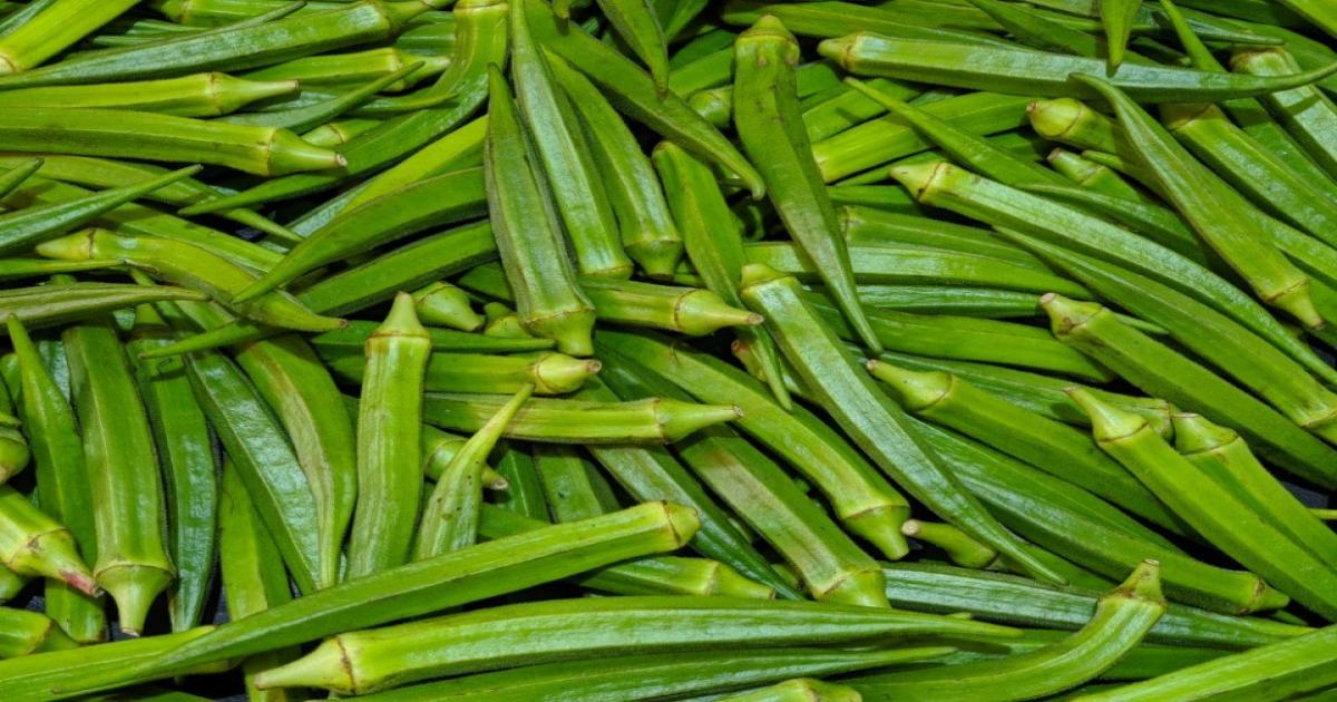 Bhindi Prices Today in Maharashtra