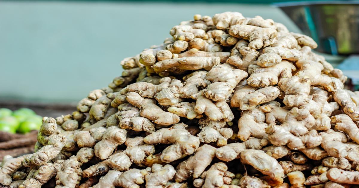 Green Ginger Prices Today in Uttar Pradesh