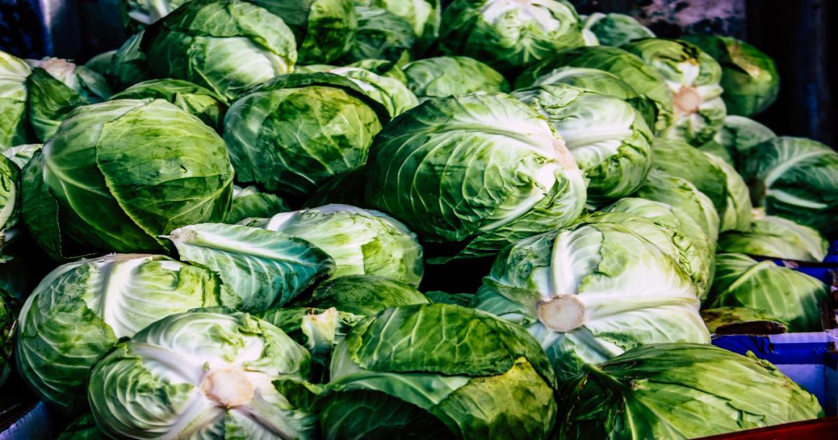 Cabbage Price Today in Haryana