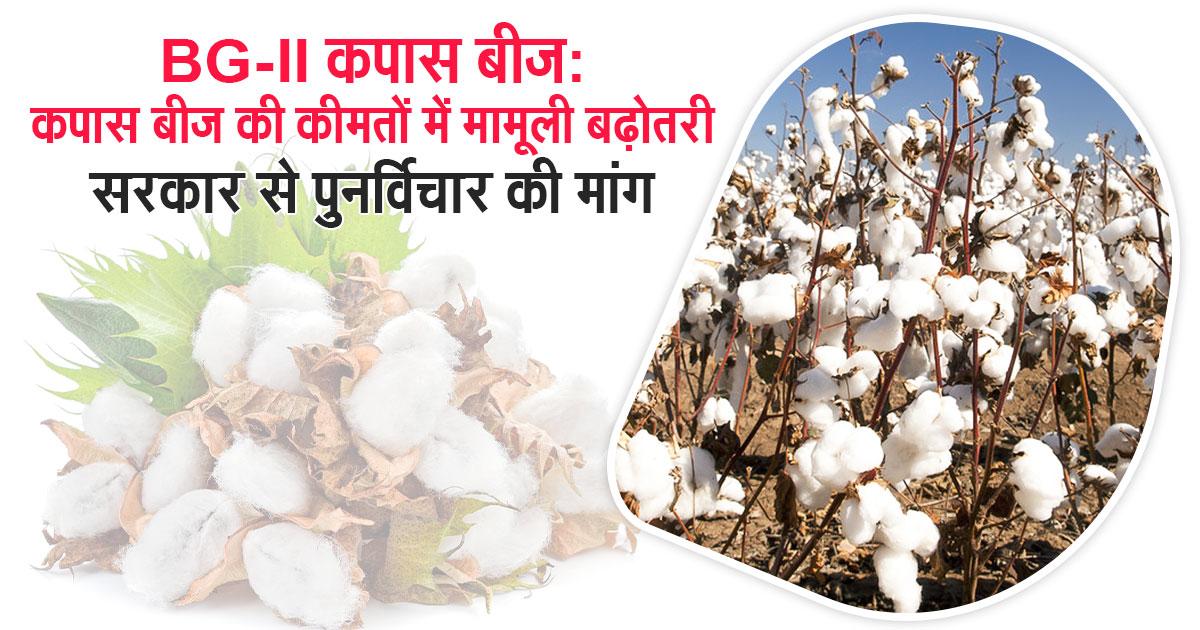 Cotton seed prices increased