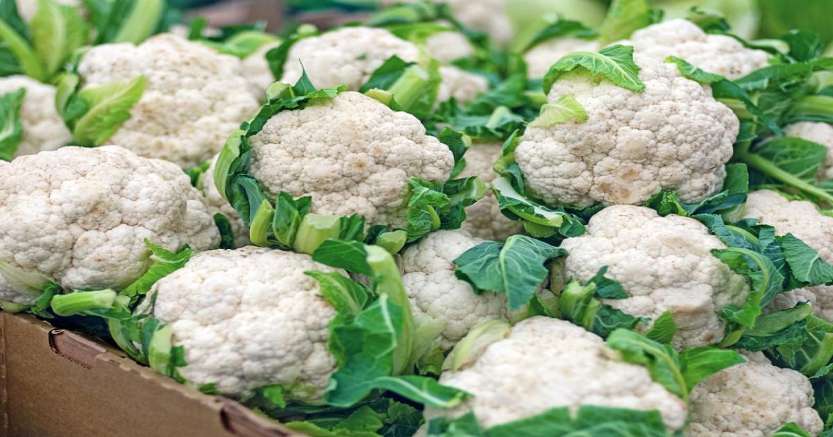 Cauliflower prices today in Uttar Pradesh