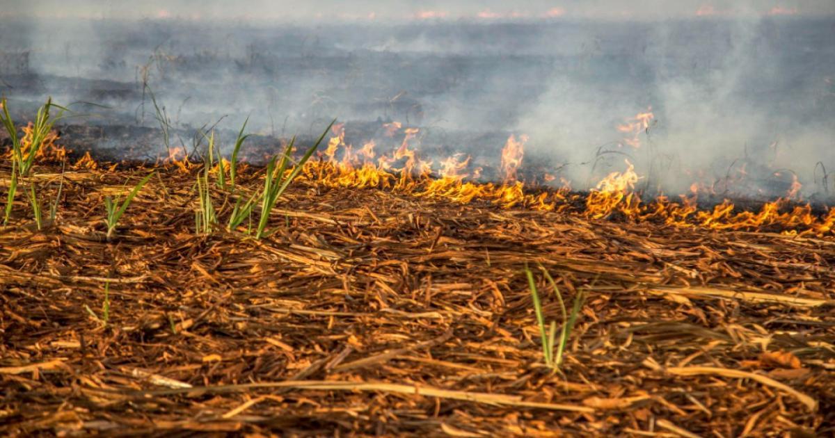 Ban on stubble burning