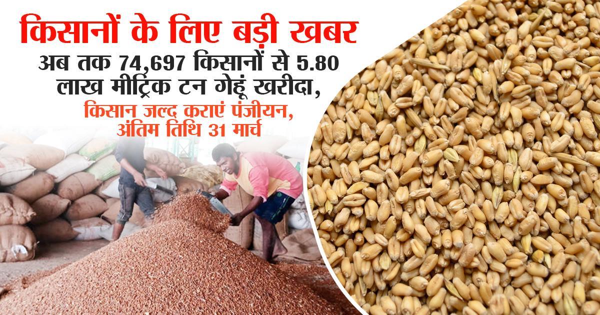 गेहूं उपार्जन पंजीयन तिथि बढ़ी
