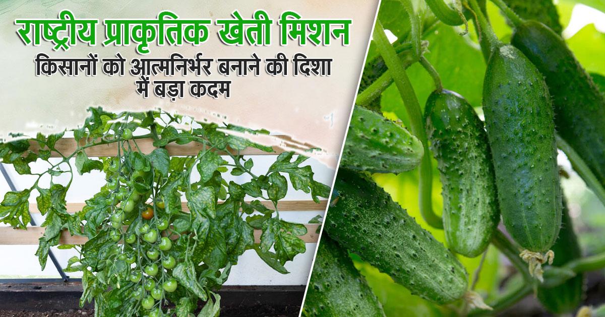 प्राकृतिक खेती