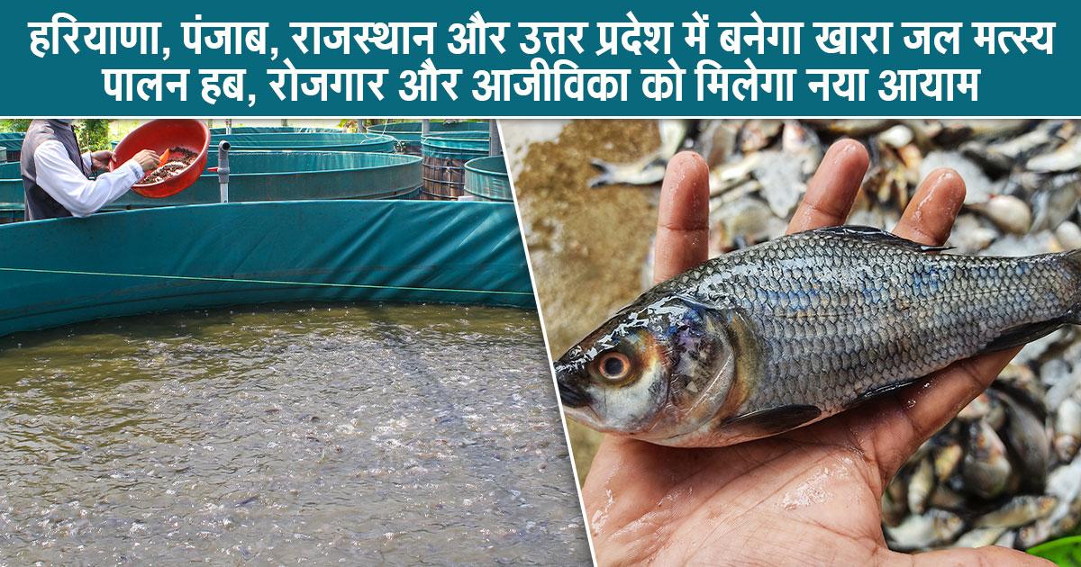 मछली पालन में नई उम्मीद