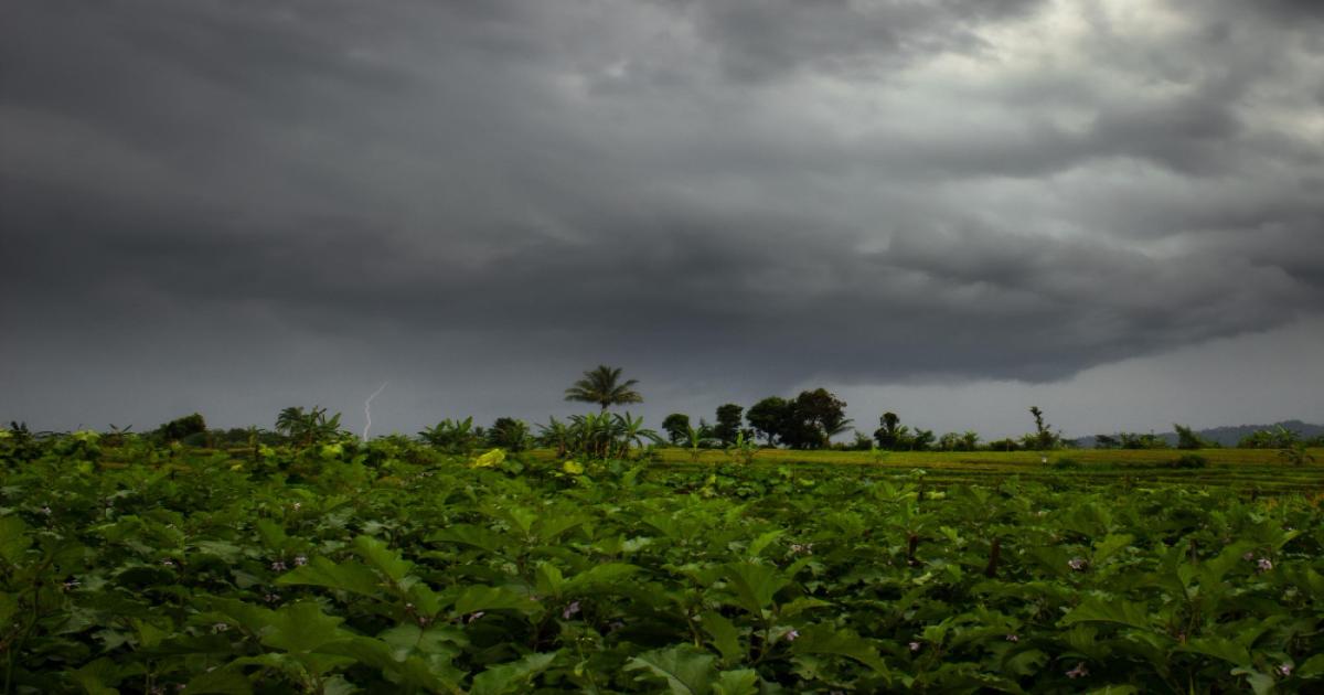 Alert of rain and thunderstorm in Bihar