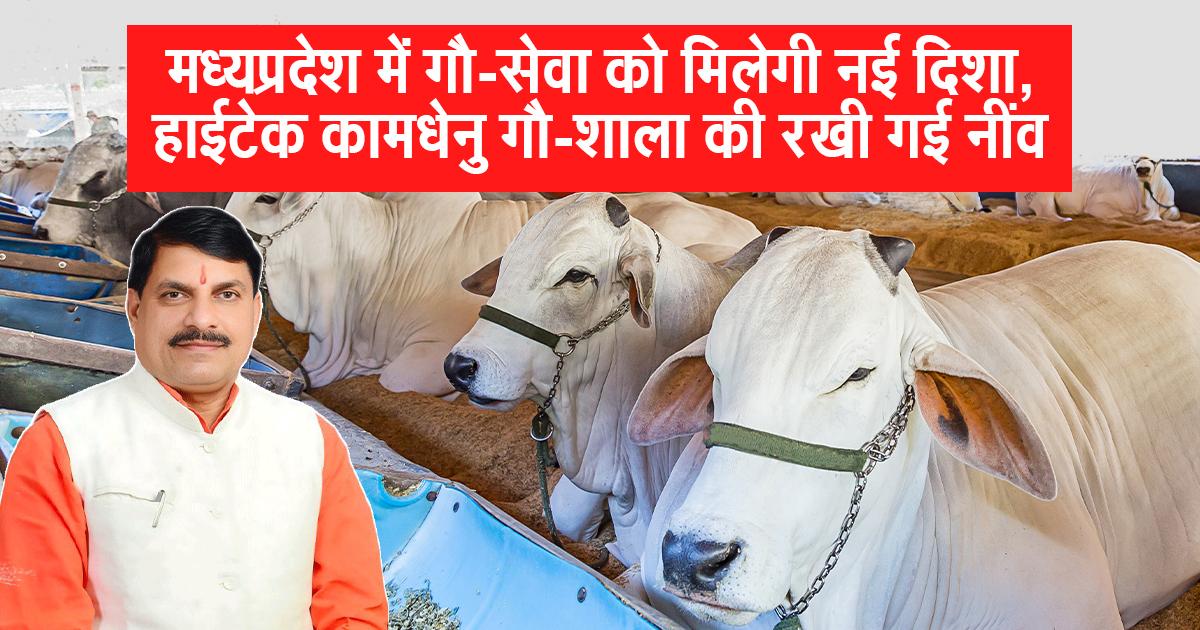 कामधेनु गौशाला