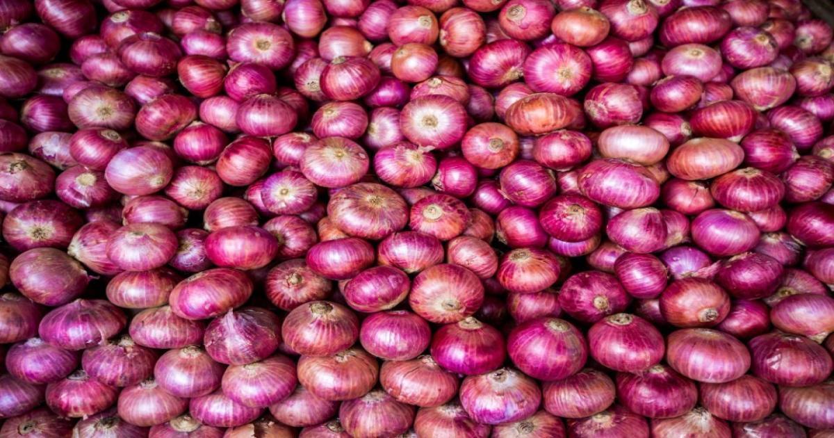 Onion Prices in Haryana