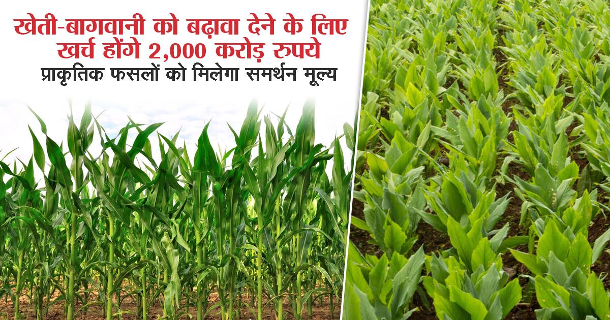 farming horticulture