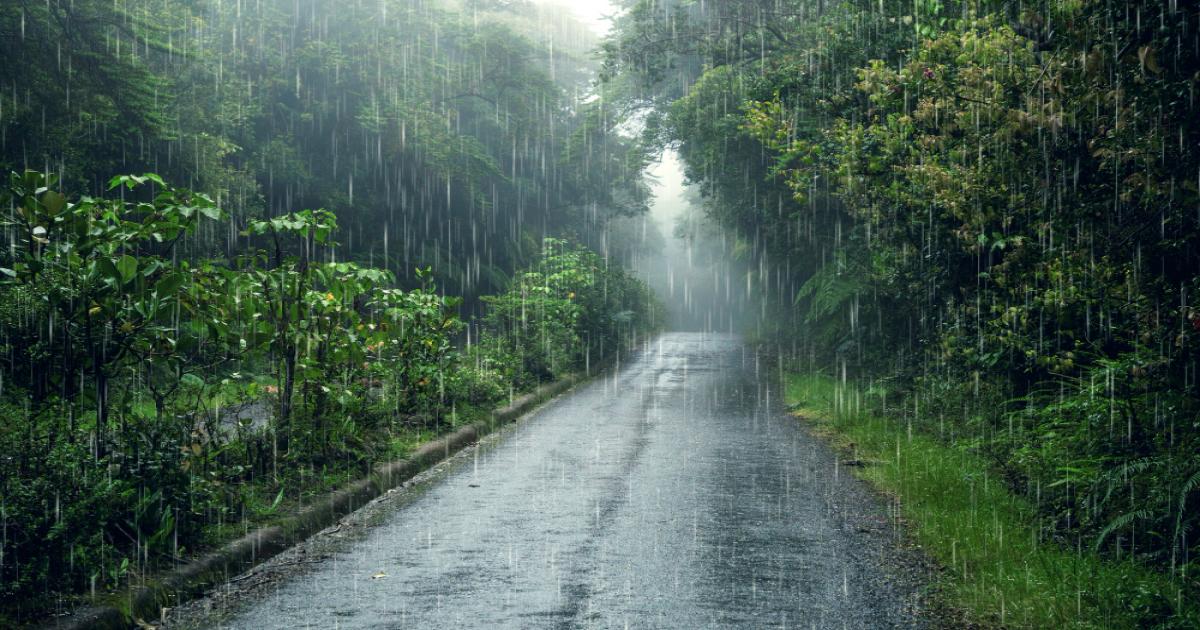 rain and storm