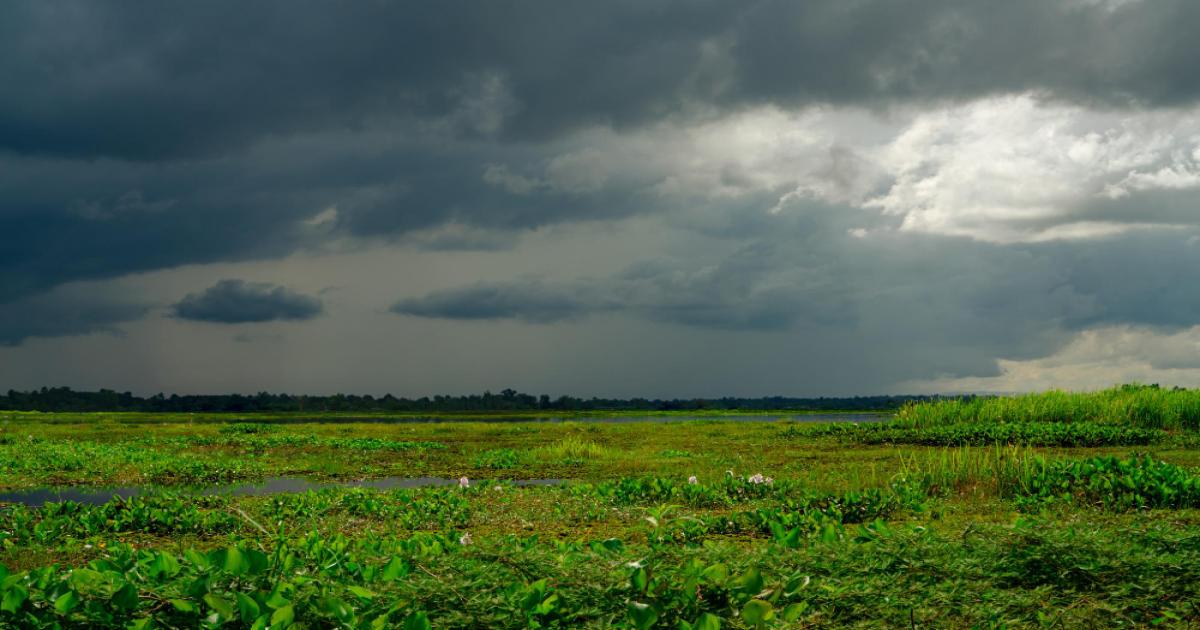 Arrival of monsoon in Kerala