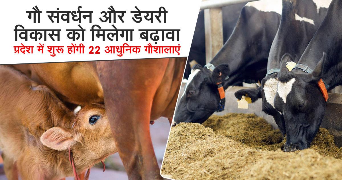 गौ संवर्धन और डेयरी उद्योग