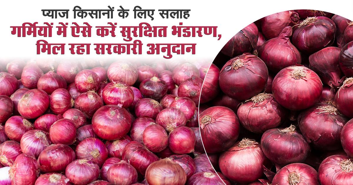 गर्मी में प्याज स्टोर करने का सही तरीका
