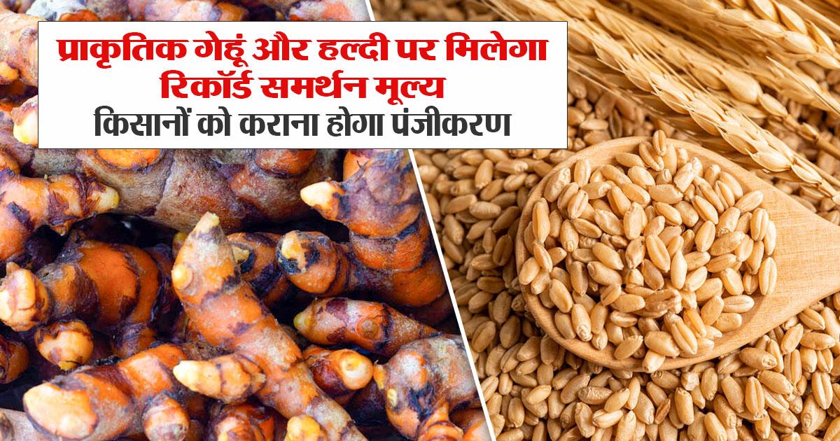 हिमाचल में MSP का बड़ा ऐलान