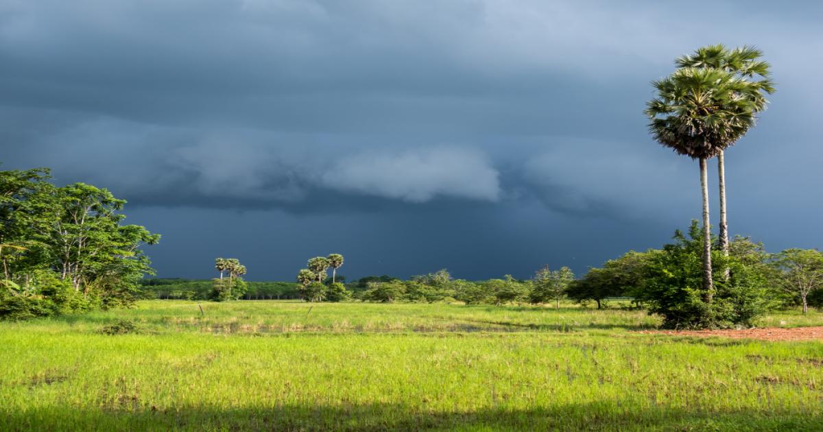 Weather today: उत्तर भारत और पूर्वोत्तर में तबाही मचाएगा मौसम, बारिश, ओले, आँधी और बिजली का डबल अटैक – IMD की चेतावनी जारी