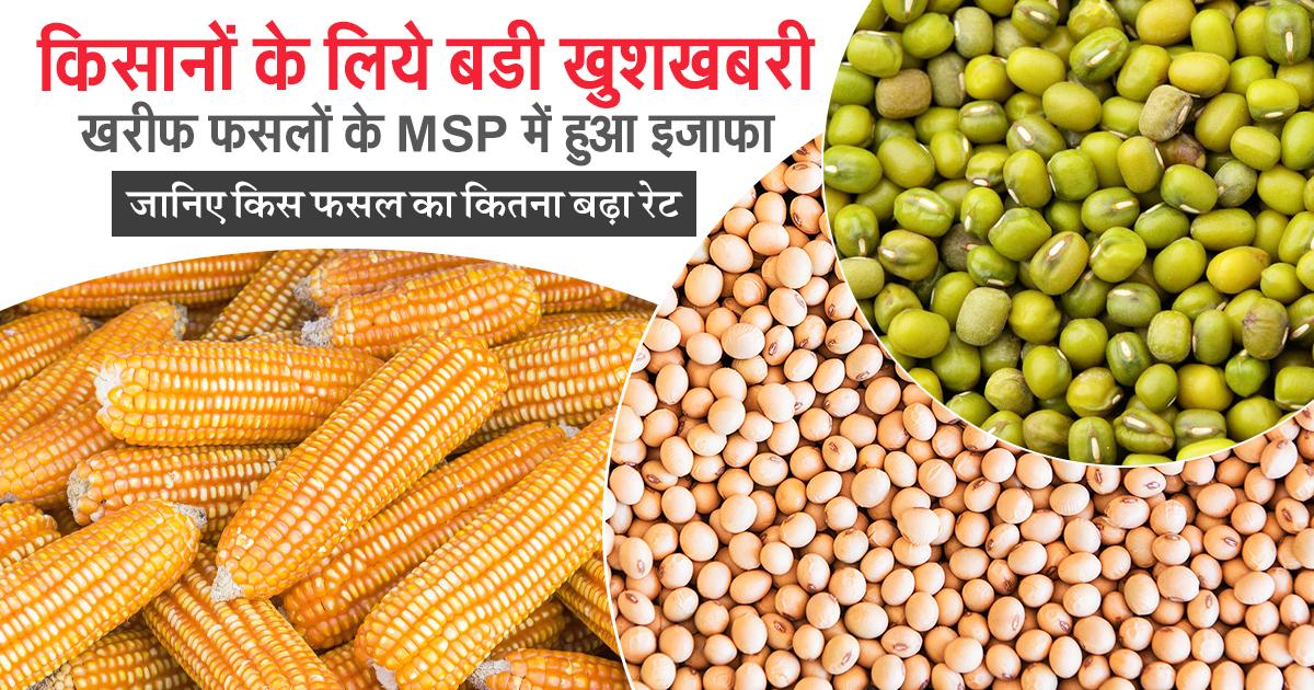 MSP Hiked for 2025–26 Farmers to Get Better Prices – Check the New Rate List