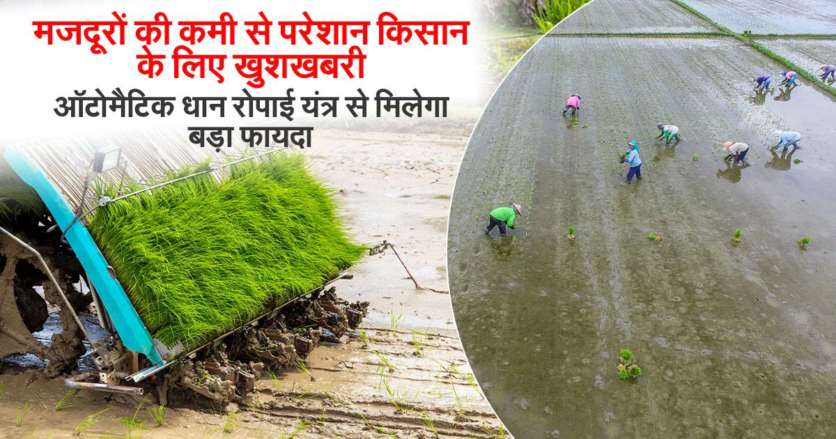 ऑटोमैटिक धान रोपाई यंत्र