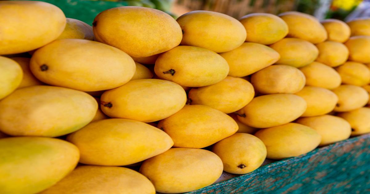 Mango Prices