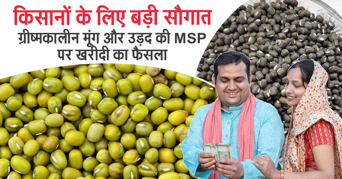 मूंग और उड़द की MSP पर होगी सरकारी खरीदी