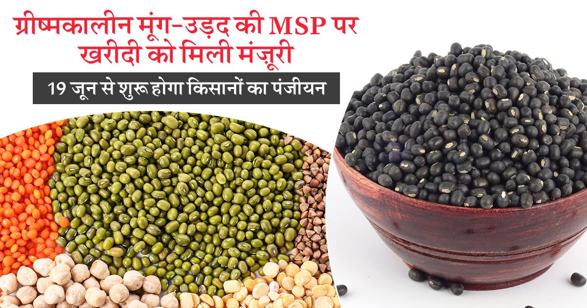 मूंग-उड़द की MSP पर खरीदी