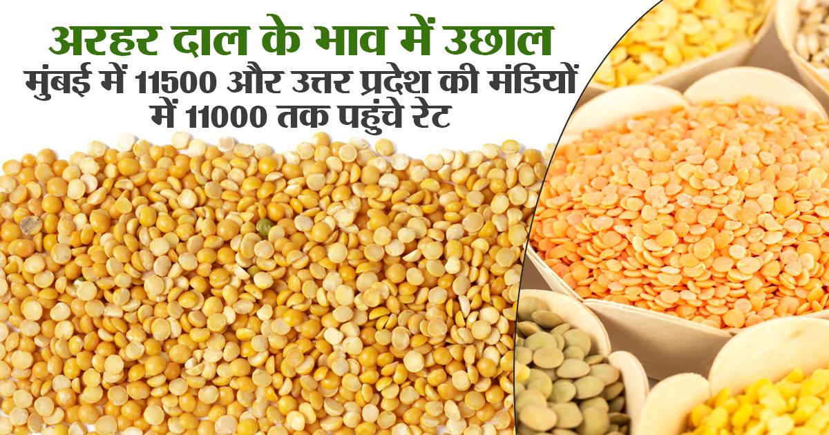 अरहर दाल